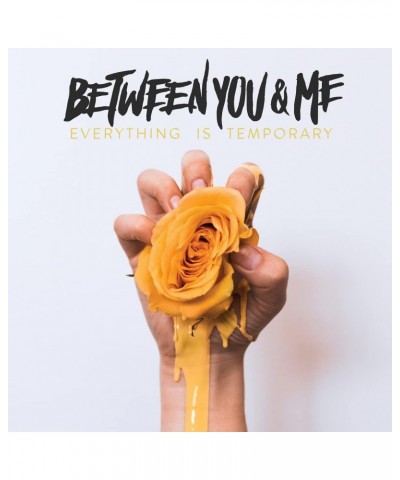 Between You & Me EVERYTHING IS TEMPORARY Vinyl Record $9.45 Vinyl