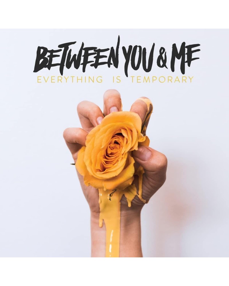 Between You & Me EVERYTHING IS TEMPORARY Vinyl Record $9.45 Vinyl